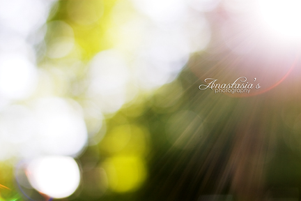 Bokehlicious sun flare