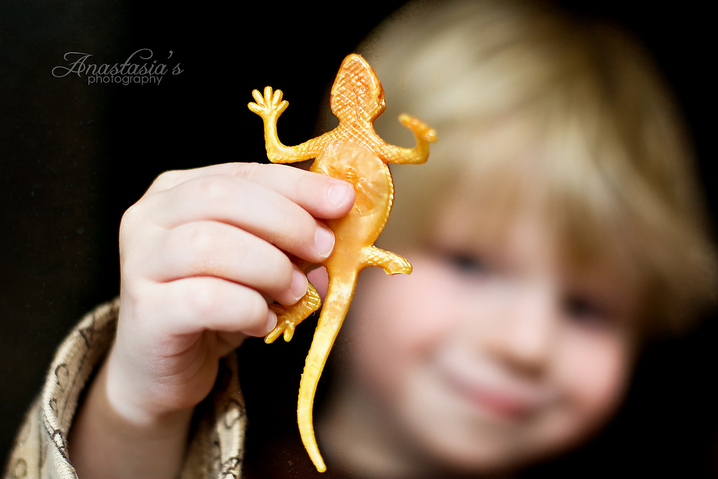 Lizard bokeh